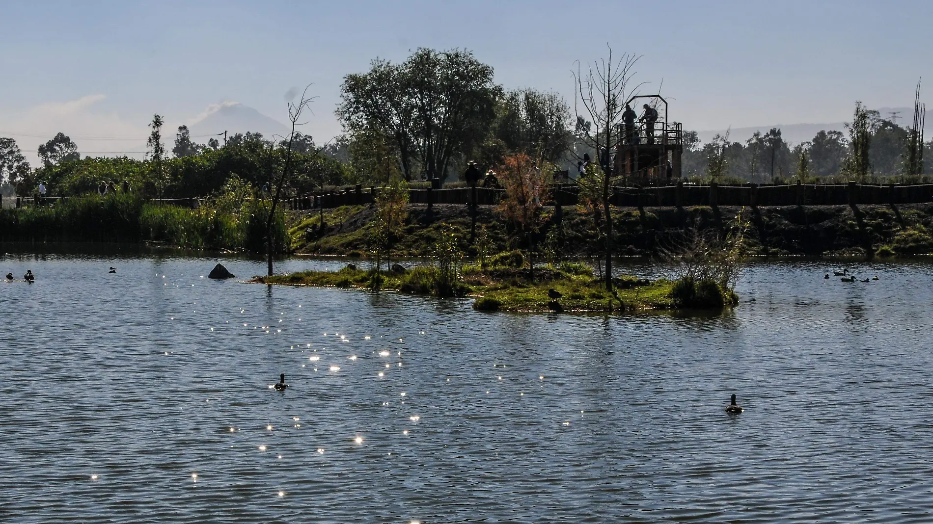 XOCHIMILCO 6